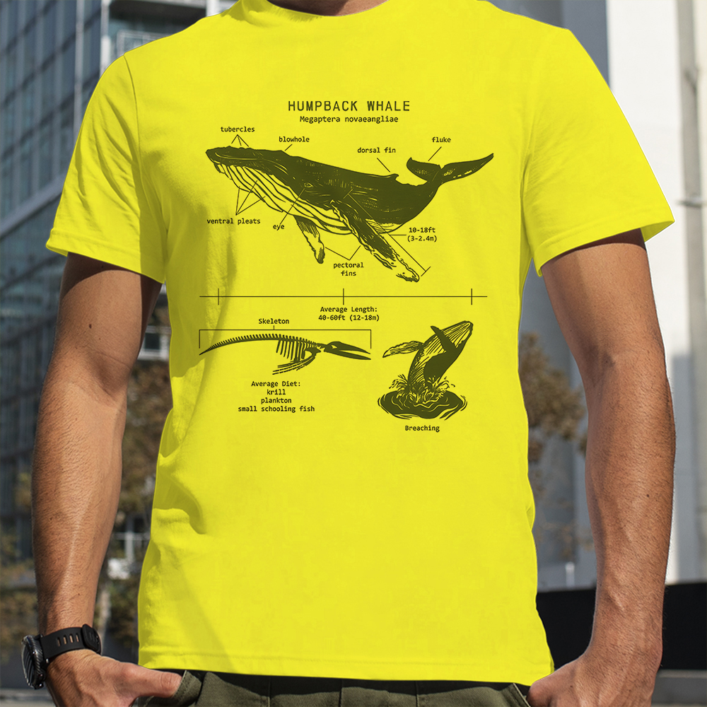 Humpback Whale Anatomy Shark L - Street Fashion Loverboy บทวิจารณ์และราคา