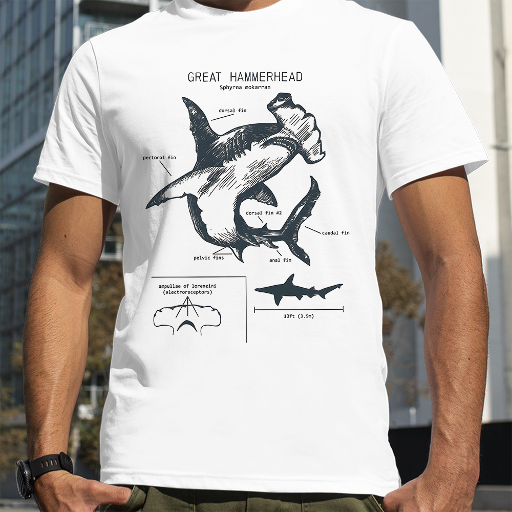 Hammerhead Shark Anatomy Shark - Street Fashion Loverboy บทวิจารณ์และราคา